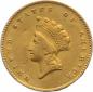 Preview: USA 1 Dollar Indian Head, verschiedene Typen