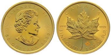 Kanada 50 $ 2022 Maple Leaf - 1 Unze Feingold