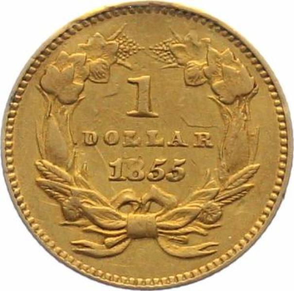 USA 1 Dollar Indian Head, verschiedene Typen