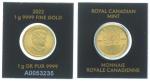Kanada 50 Cents 2022 Maple Leaf - 1 Gramm Feingold