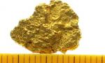 Gold Nugget 1.66 Gramm